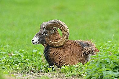 欧美服PS+二档＆三档4月新入库游戏：正版《极限国度》等